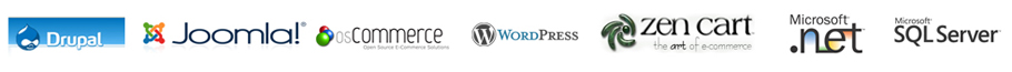 Leading Web Designing Company 

In Ghaziabad